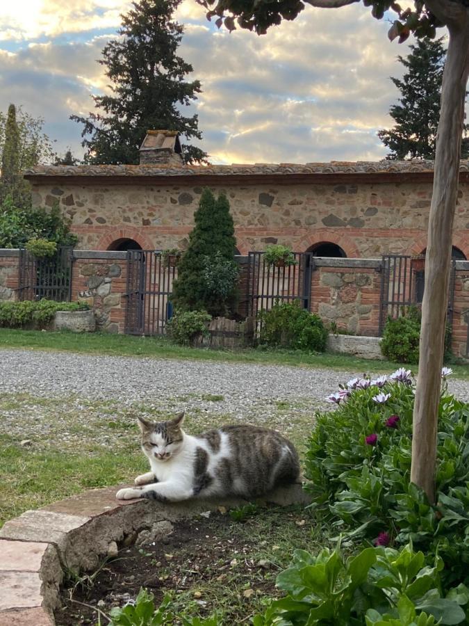 Agriturismo Il Pozzo Castiglione dʼOrcia Exteriör bild