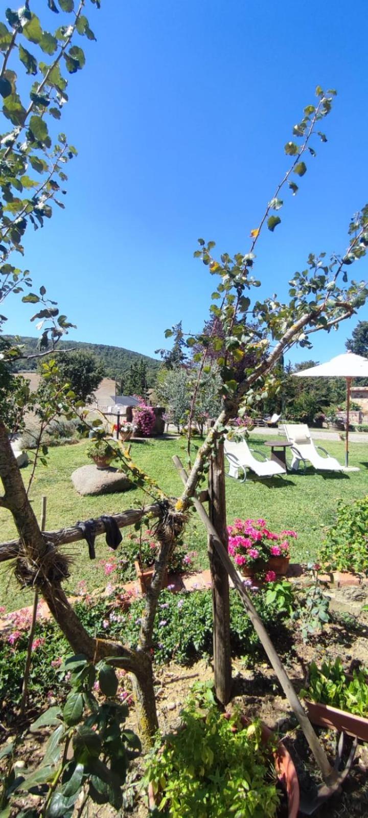 Agriturismo Il Pozzo Castiglione dʼOrcia Exteriör bild